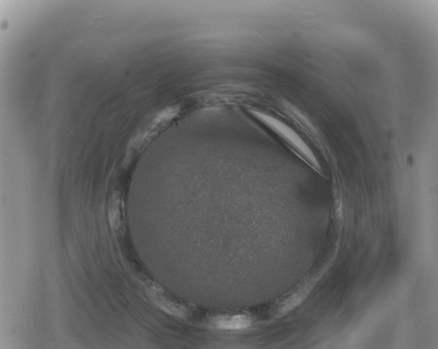 X0000080710169200612221152