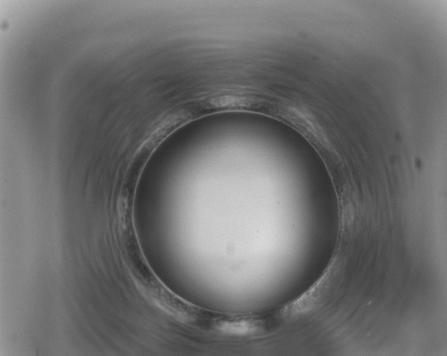 X0000080710171200612221152