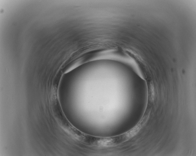 X0000080710172200612221152