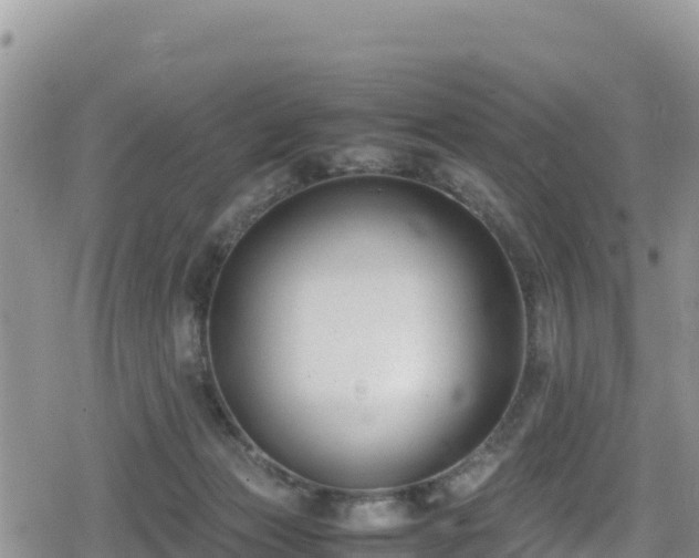 X0000080710173200612221152