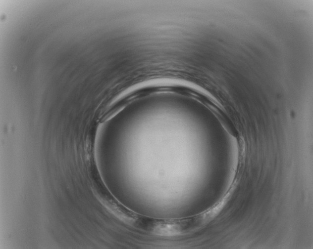 X0000080710174200612221152