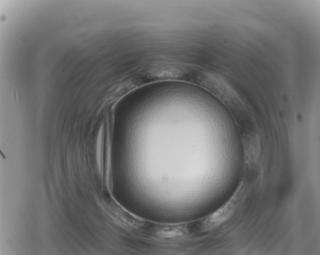 X0000080710175200612221152