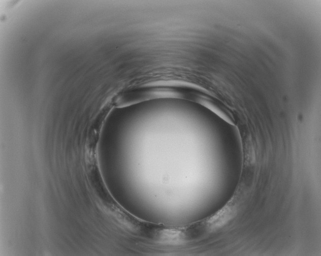 X0000080710176200612221152