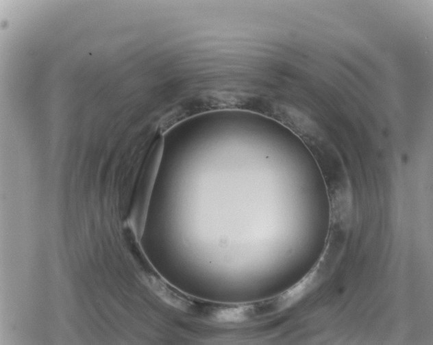 X0000080710178200612221152