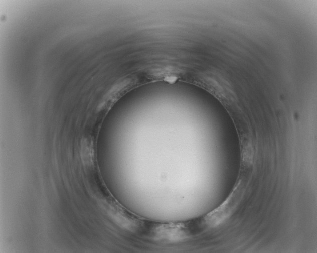 X0000080710179200612221152