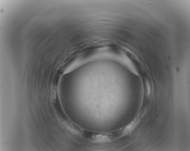 X0000080710180200612221152