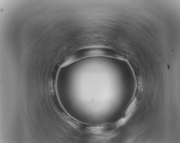 X0000080710182200612221152