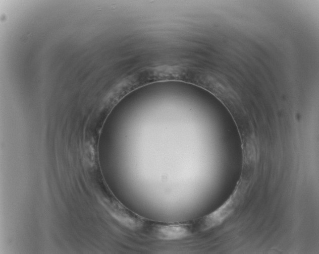 X0000080710183200612221152