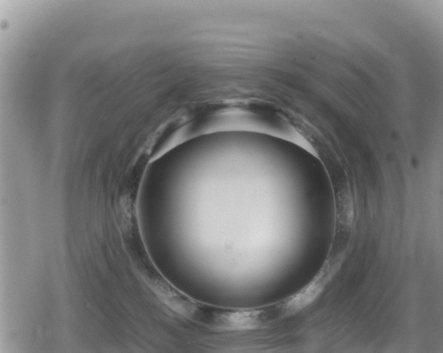 X0000080710184200612221152