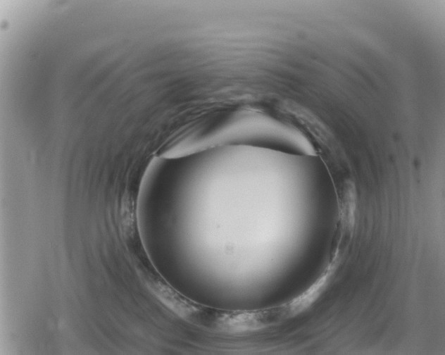 X0000080710186200612221152