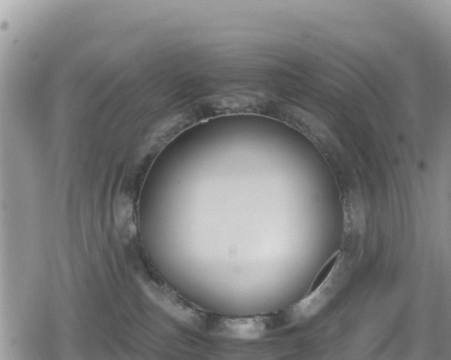 X0000080710187200612221152