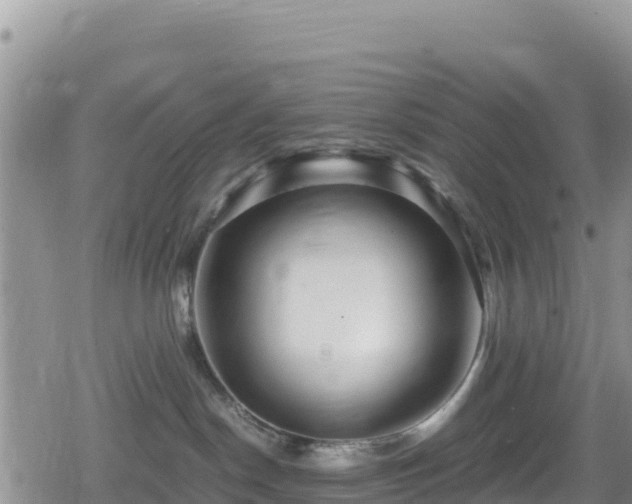 X0000080710190200612221152