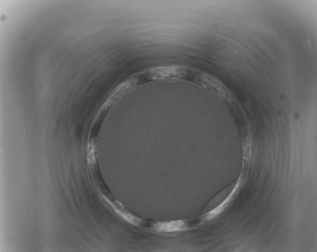 X0000080710191200612221152