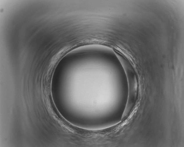 X0000080710193200612221151