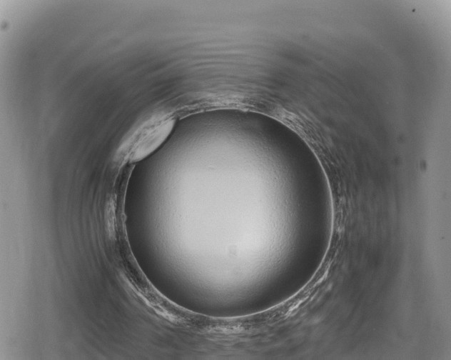 X0000080710194200612221151