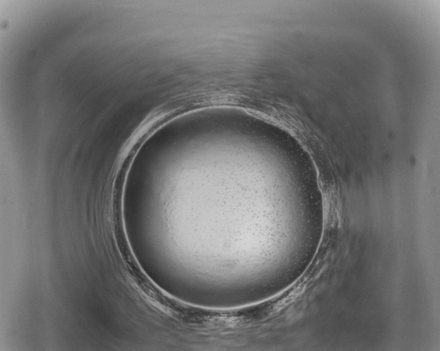 X0000080710195200612221151