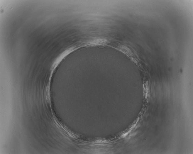 X0000080710196200612221151