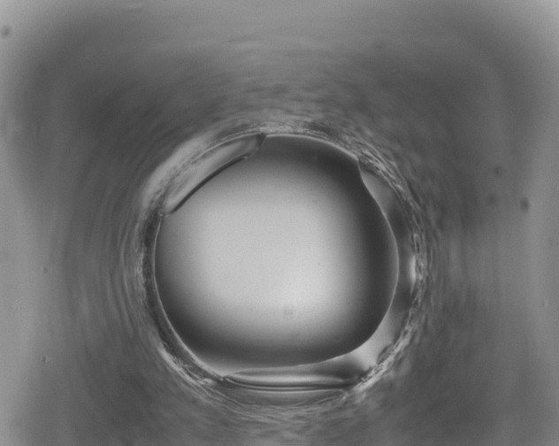 X0000080710197200612221151