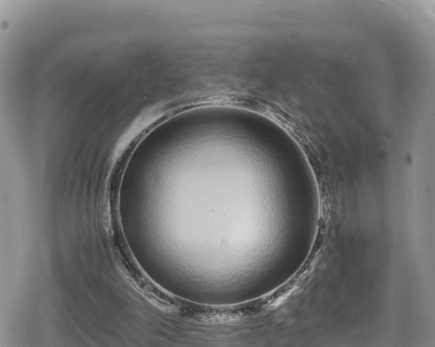 X0000080710198200612221151