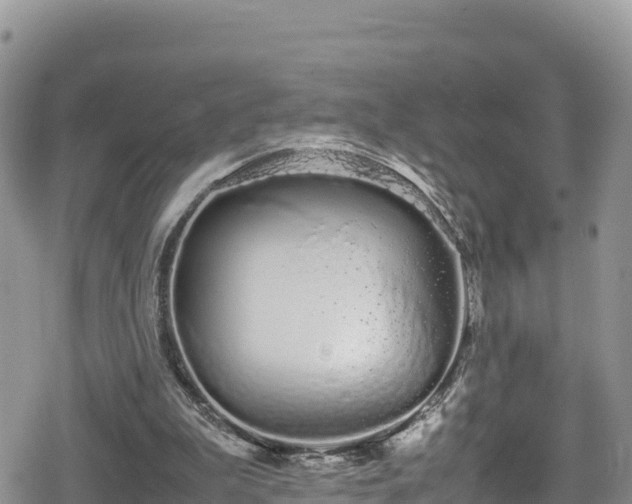 X0000080710199200612221151