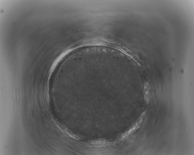 X0000080710200200612221151