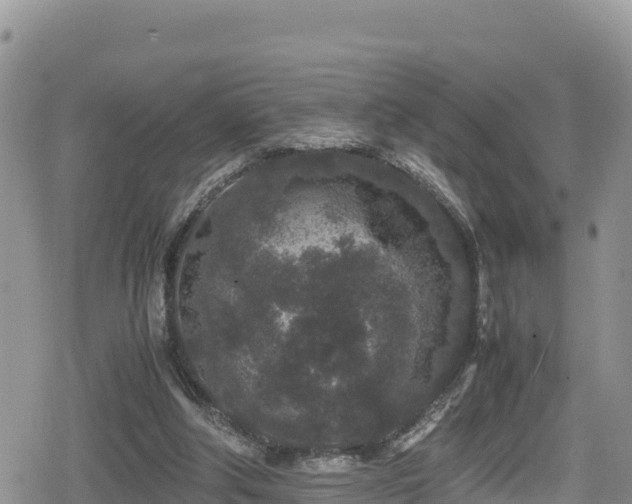 X0000080710202200612221151