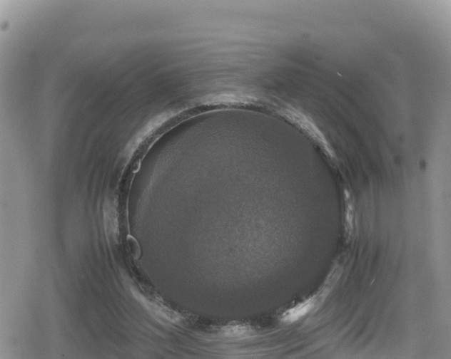 X0000080710204200612221151