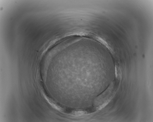 X0000080710205200612221151