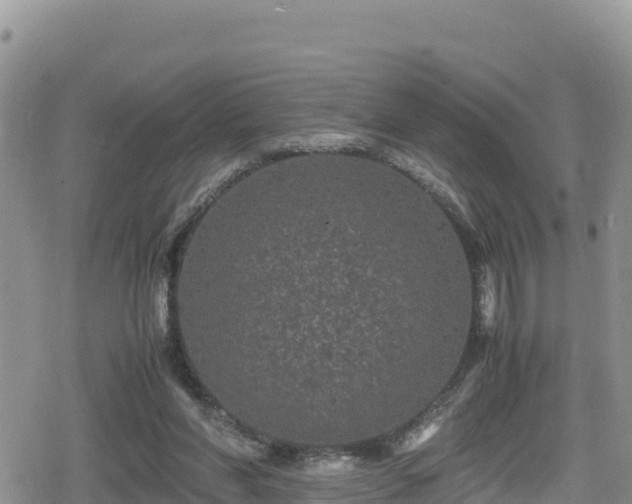 X0000080710206200612221151