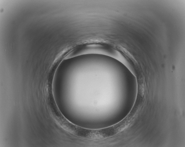 X0000080710207200612221151