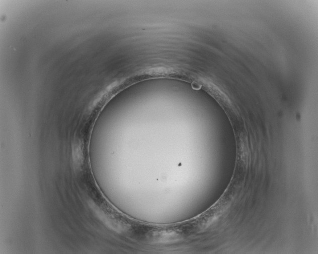 X0000080710208200612221151