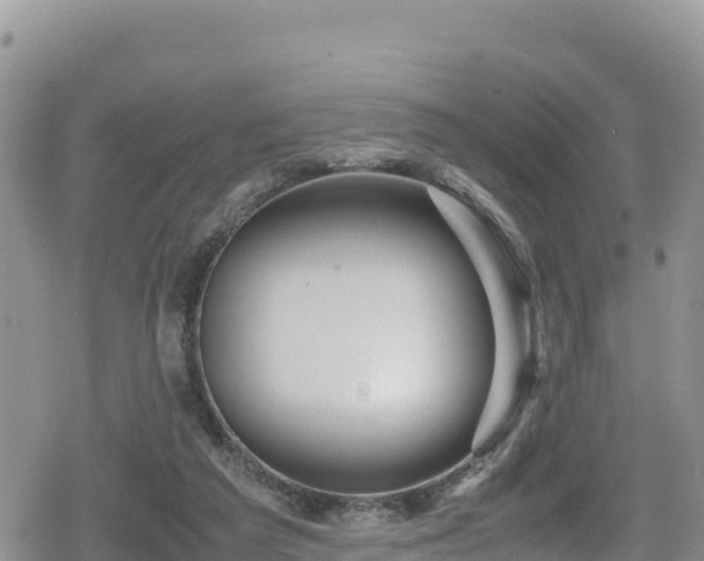 X0000080710209200612221151