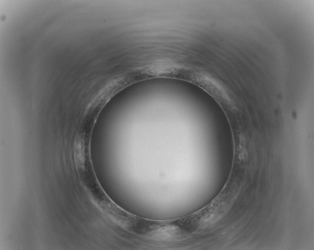 X0000080710210200612221151