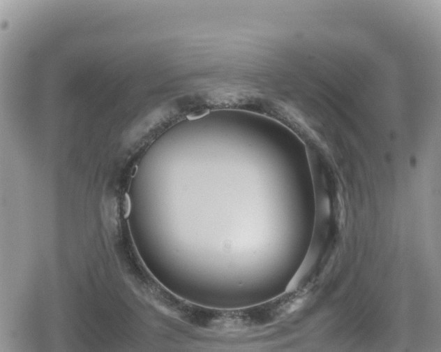 X0000080710211200612221151