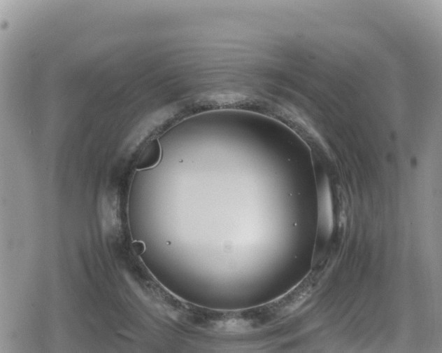 X0000080710212200612221151