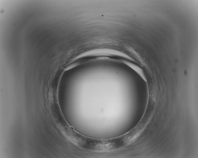 X0000080710213200612221151