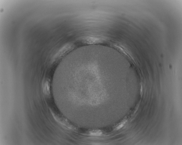 X0000080710214200612221151