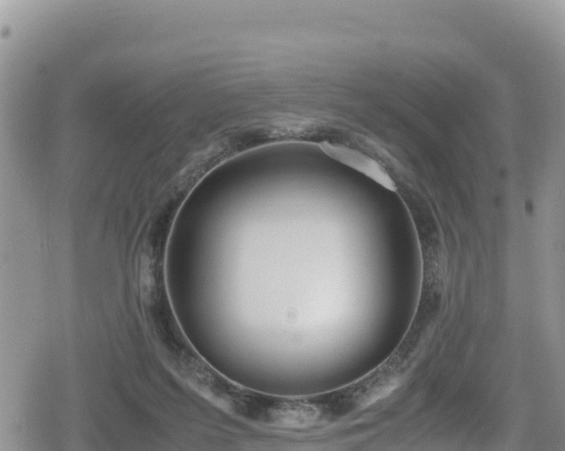 X0000080710215200612221151