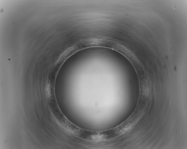 X0000080710216200612221151