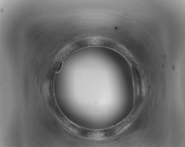 X0000080710217200612221151