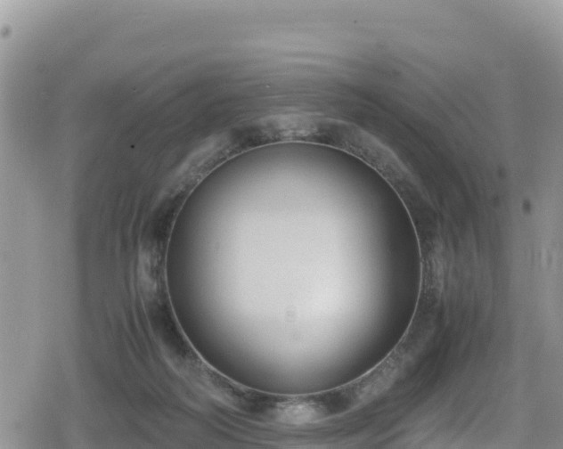 X0000080710218200612221151