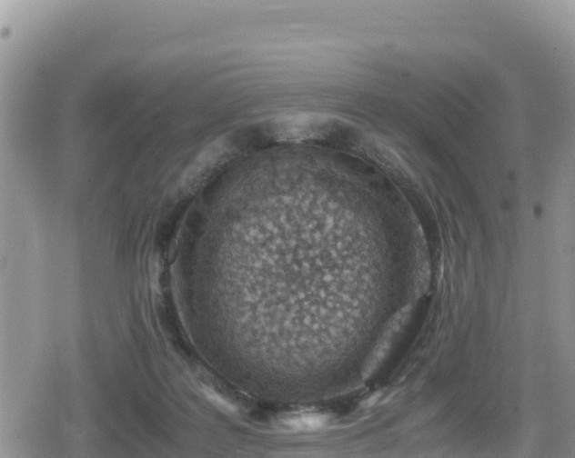 X0000080710219200612221151