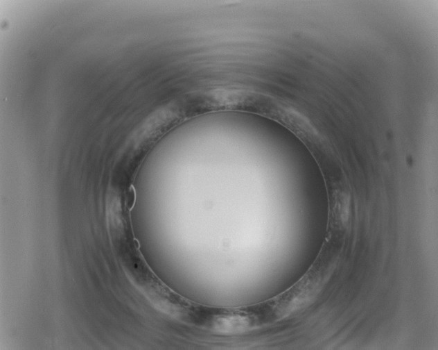 X0000080710220200612221151