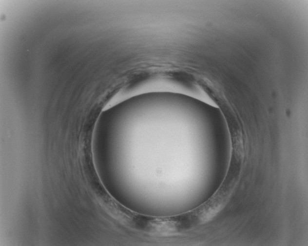 X0000080710221200612221151