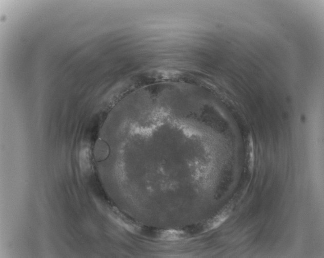 X0000080710222200612221151