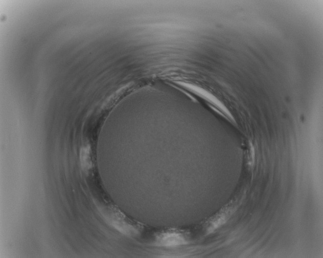 X0000080710224200612221151