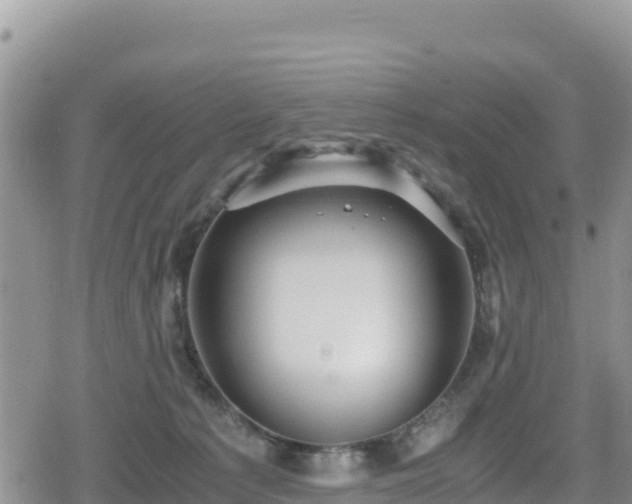 X0000080710225200612221151