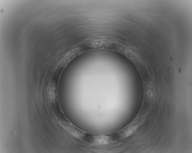 X0000080710226200612221151