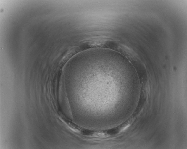 X0000080710227200612221151