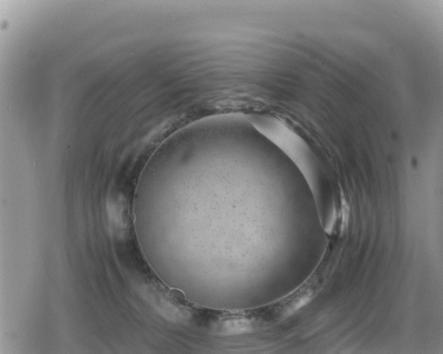 X0000080710228200612221151